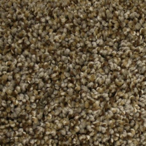 Learn about indoor outdoor carpet and rug buying options, prices, installation and maintenance. $1.98 sq ft STAINMASTER Petprotect Concord R1142 Mystical ...