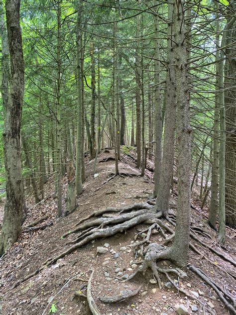 Lenape Trail Take A Hike