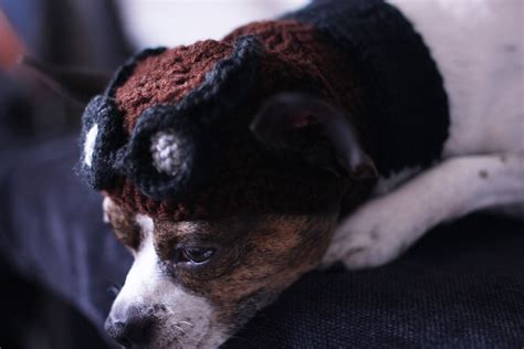 Aviator Dog Hat Cute Steampunk Dog Made To Your Order Etsy