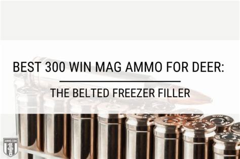 Best 300 Win Mag Ammo For Deer The Belted Freezer Filler