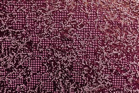 Jasno Różowy Tło Kolor Tekstura Pomalowane ściany — Zdjęcie Stockowe