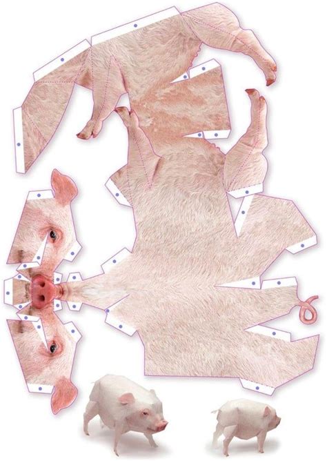 This Is A Pig Papercraft Paper Animals Paper Models Paper Doll