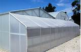 Greenhouse Builders Florida Images