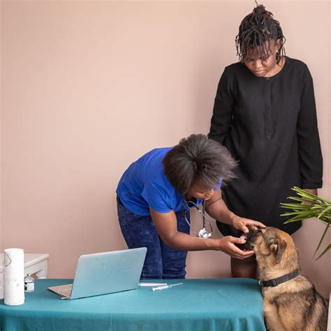 Pets Haven Vet. Clinic