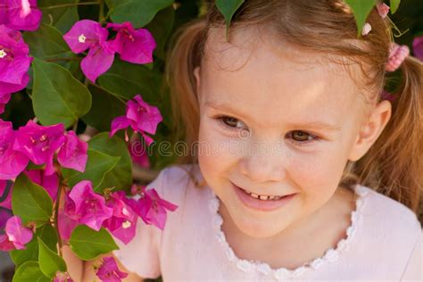 Portrait Of A Girl On The Background Of A Bush Of Stock Image Image