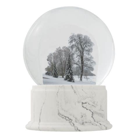 Winter Wonderland Snow Globe Snow Forest Snowglobe In 2021