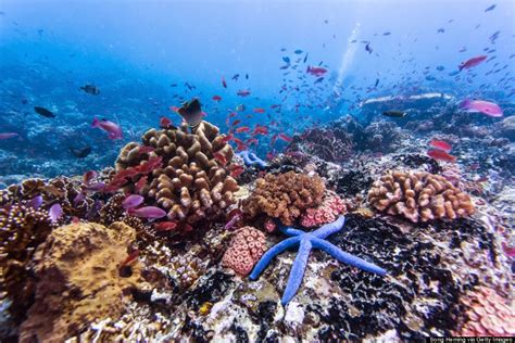 Mereka merilis daftar 15 pulau cantik yang masuk dalam kategori best island 2019. Wow! Pulau Palawan Antara Pulau Tercantik Di Dunia ...