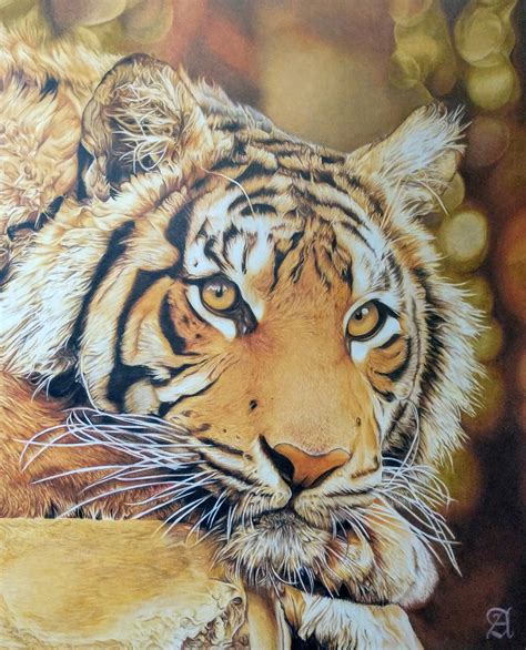 Drawing And Illustration Realistic Colored Pencil Artwork Tiger Drawing