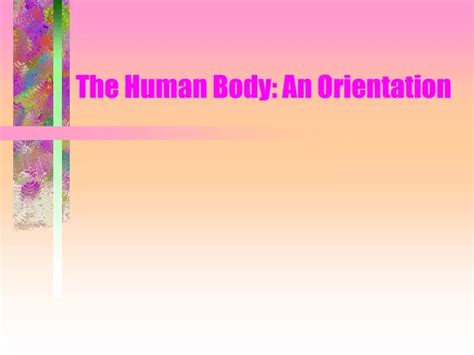 Ppt The Human Body An Orientation Powerpoint Presentation Free