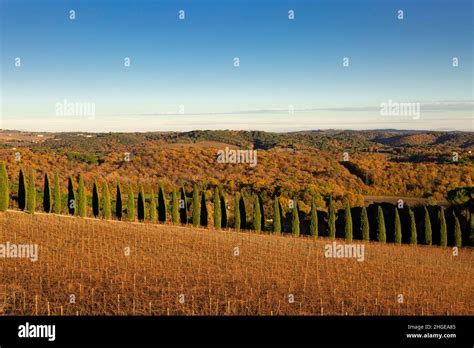 A Serene Landscape Of Crete Senesi And Val Dorcia Valley From The