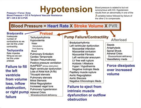 Hypotension Concept Map Pdf Nursing Care Plan Worksheet Hot Sex Picture