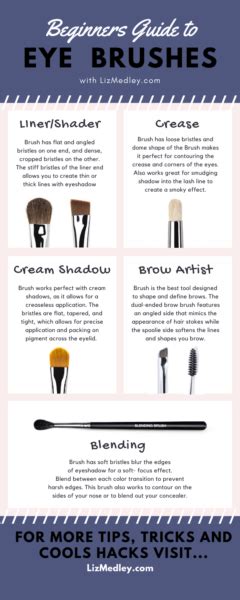 Eye Makeup Brushes And Their Uses Liz Medley Official Site