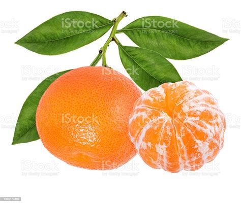 Mandarin Tangerine Citrus Fruit With Leaf Isolated On White Stock Photo