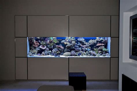 Aquarium Wall Decorating Jihanshanum Wall Aquarium Fish Tank Wall