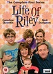 Life Of Riley (TV Series) (2009) - FilmAffinity