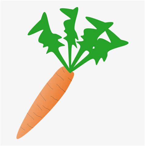 Carrot Download Drawing Free Commercial Clipart Carrot - Carrot Plant Clip Art - 634x750 PNG ...