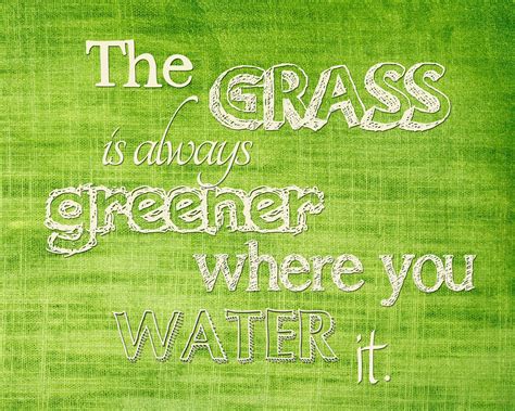 The Grass Is Always Greener Where You Water It Grass Is Always Greener Motivational Posters