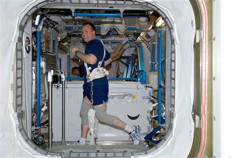 Importance Of Exercise While In Orbit Rocketstem