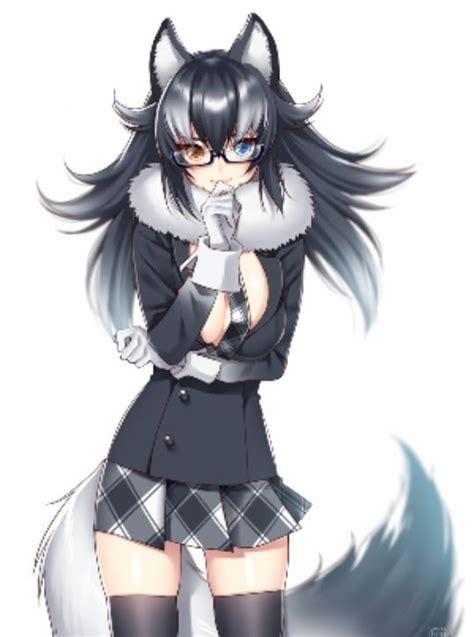 Grey Wolf Wiki Neko Anime Amino Amino