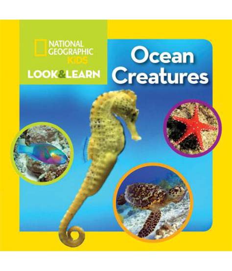 National Geographic Kids Look And Learn Ocean Creatures Buy National