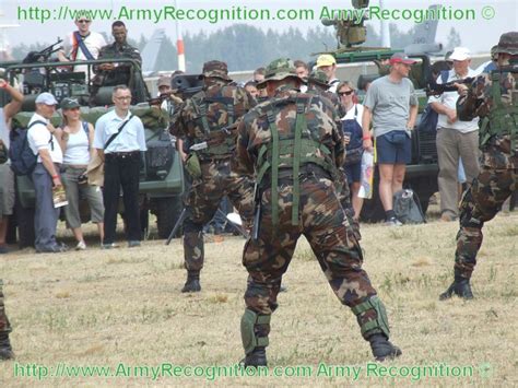Hungary Hungarian Army Ranks Military Combat Field Uniforms Dress