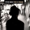 Peter Wolf - Fool's Parade | Veröffentlichungen | Discogs