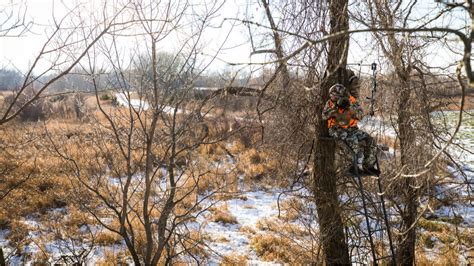 Should You Shoot Coyotes While Deer Hunting Meateater Hunting