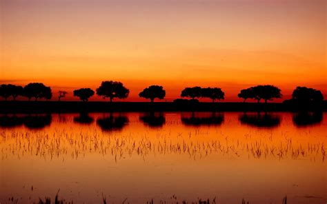 Landscape Silhouette Sunset Trees Reflection