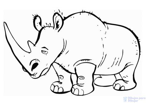 磊【2250】fáciles Dibujos De Rinocerontes Para Dibujar ⚡️