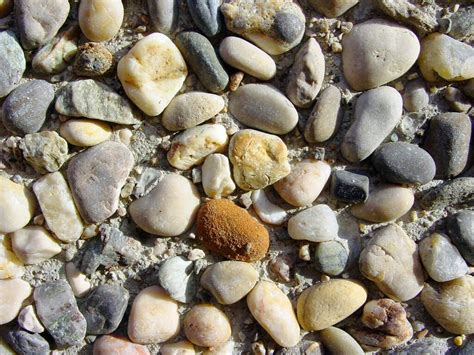 Memilih batu kerikil hias memasang kerikil di taman kerikil juga memiliki kegunaan lain, misalnya sebagai pembatas dekoratif, untuk jalan setapak. Gambar : batu, bahan, steinchen, kerikil putih 3465x2308 ...