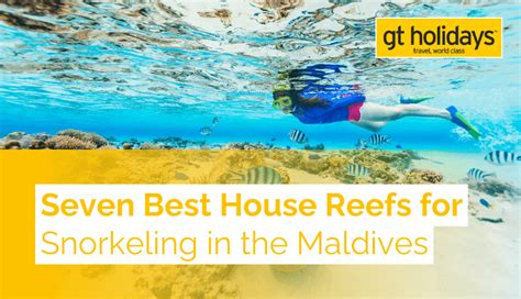 Explore The Best House Reefs For Snorkeling In The Maldives