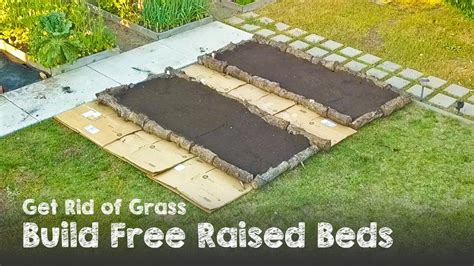 Can You Put A Raised Garden Bed On Grass
