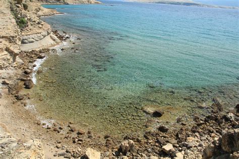 Stolac Naturiste Plage De Pierre Sur L île De Rab En Croatie Image Stock Image Du Arénacé