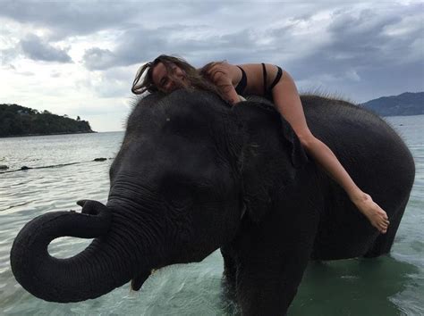 pin on elephants and sexy women in bikini 2 fun travel