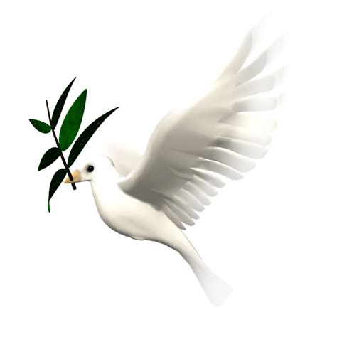 Animated Dove Flying Clipart 10 Free Cliparts Download Images On