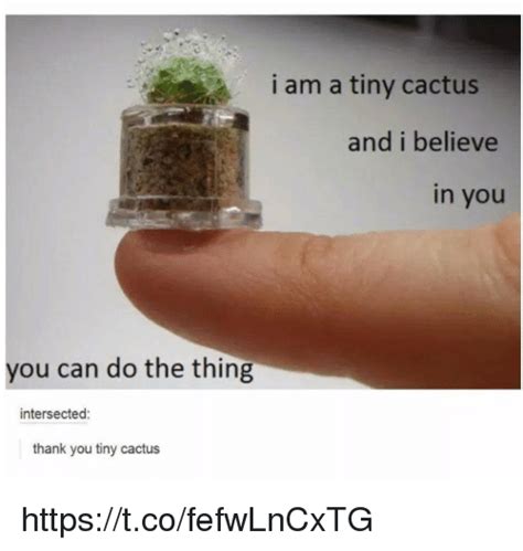 I Am A Tiny Cactus And I Believe In You You Can Do The Thing