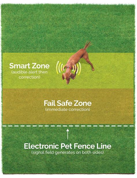 We've made it easier by creating a list of reviews of the six best dog fence wires. How Much Do Electric Dog Fences Cost in 2020 | Dog fence ...