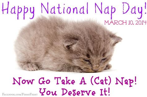 Did You Know That Today Is National Nap Day Yup A Whole Day