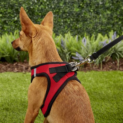 Best Pet Supplies Voyager Black Trim Mesh Dog Harness Red Medium