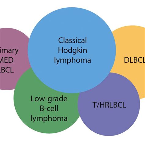 Biologic Interfaces Or Gray Zones Classical Hodgkin Lymphoma And Other