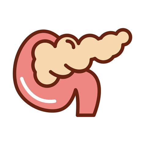 Human Body Pancreas Anatomy Organ Health Line And Fill Icon 2604776