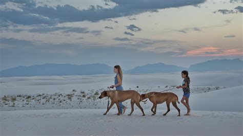 Things To Do Near White Sands National Park