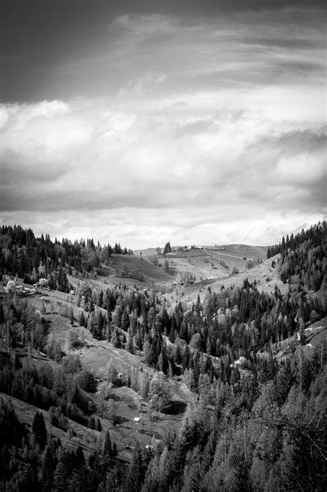 Black And White Landscape Of Suceava Romania Image Free Stock Photo