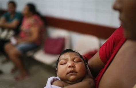 Zika Testing Is Urged For Some Newborns The New York Times