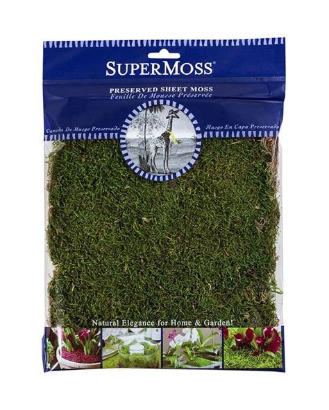 Supermoss Sheet Moss Preserved