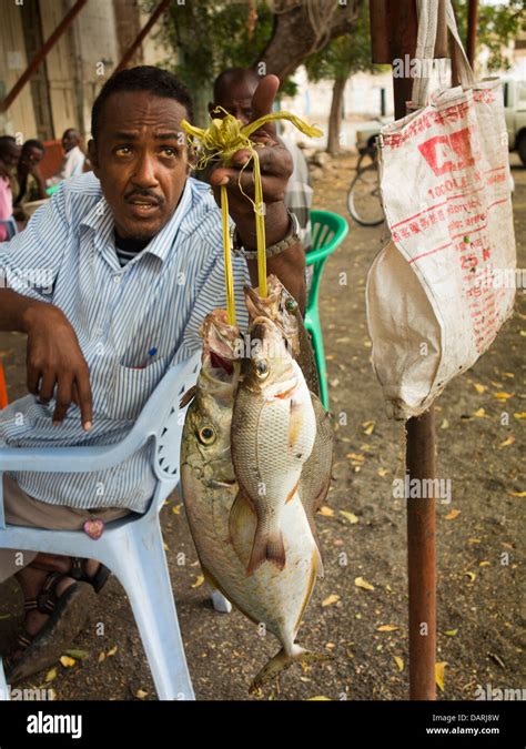 Africa Eritrea Massawa Old Town Eritrean Man Holding Fish Whist Sat