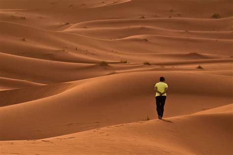 Download Walking In The Desert Royalty Free Stock Photo And Image