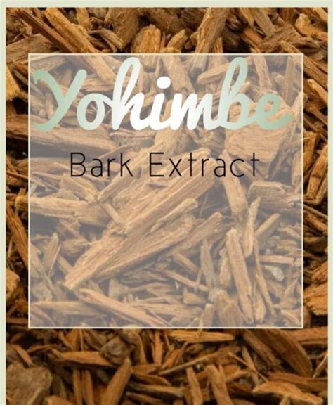 Yohimbe Bark Extract What You Need To Know From My Experience