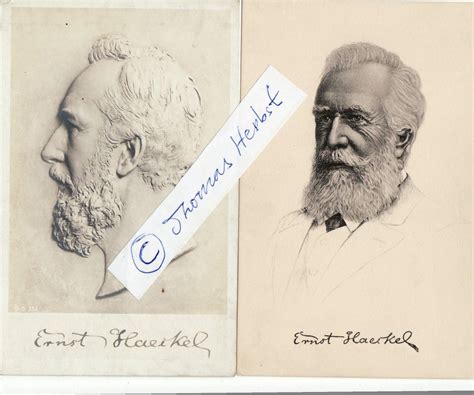 Ernst Haeckel 1834 Zvab