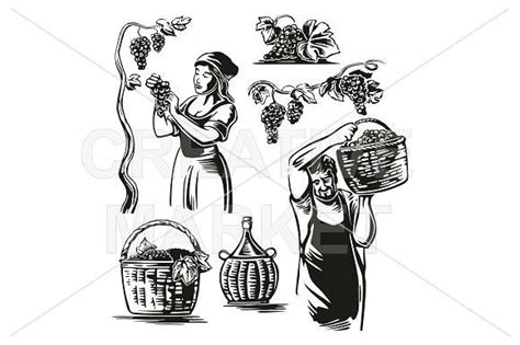 Men And Women Harvest The Grapes Monochrome Design Graphic Poster